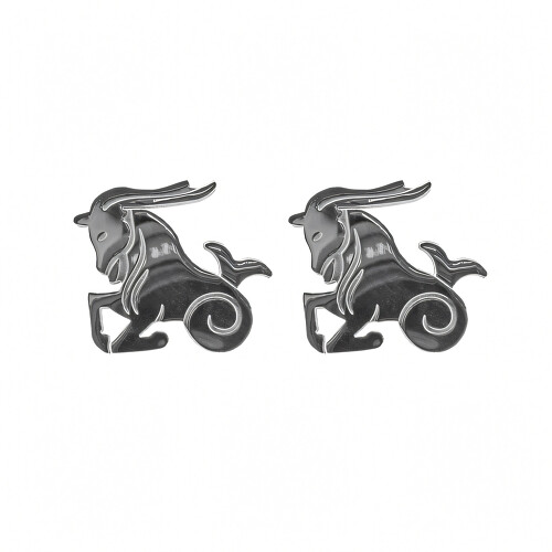 ŠPERKYLA.CZ • Náušnice - 7NE6097