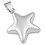 Přívěsek ve tvaru hvězdy se stříbrnou barvou 6PP0284